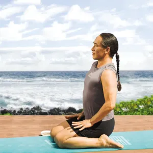 Rodney Yee's Yoga For Beginners DVD